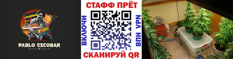 Где продают наркотики Вихоревка Alpha PVP Кокаин блэк спрут маркетплейс Меф мяу мяу Амфетамин Бошки Шишки Гашиш