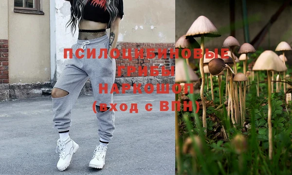 молекула духа Навашино