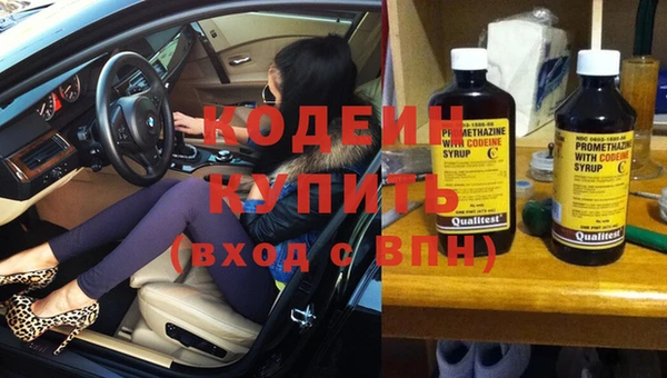 индика Наволоки