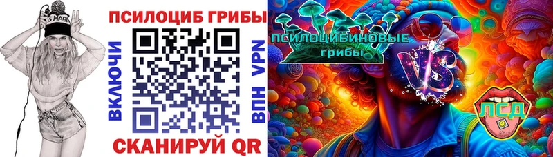 Галлюциногенные грибы Psilocybine cubensis mega вход Вихоревка купить закладку