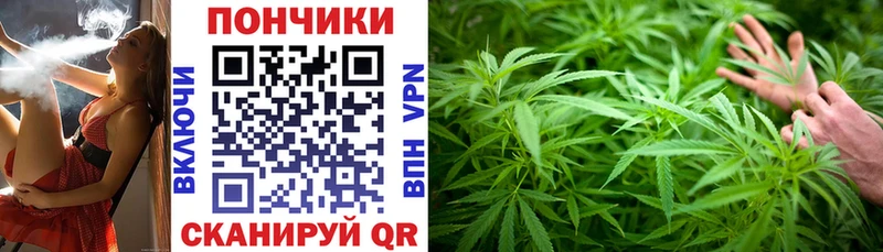 Конопля марихуана  закладка  Вихоревка 